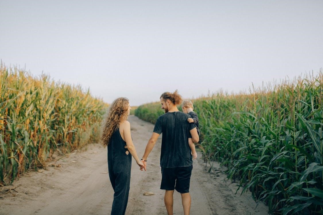 Family in black clothes walking in corn maze