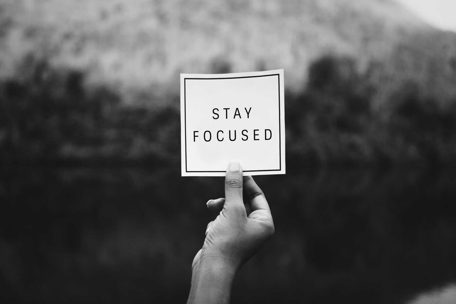 Stay focused text in nature inspirational motivation and advice